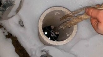 Спасение котёнка из трубы - смотреть видео (2:21)