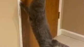 Если я не ошибаюсь, она открывается как-то так - смотреть видео (0:23)