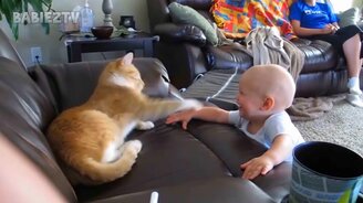 Питомцы и ребятишки в приколах - смотреть видео (10:50)