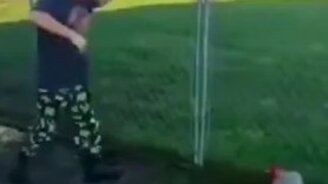 Боевой петух - смотреть видео (0:58)