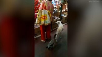 На рынок всей семьёй - смотреть видео (2:15)