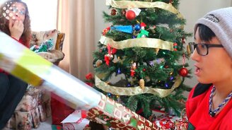 Собаки-воришки - смотреть видео (2:30)