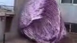 Сквозняк творит чудеса - смотреть видео (0:15)