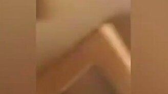 Собаки и кошки: противостояние - смотреть видео (3:12)