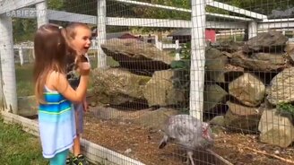 Приколы с детьми на ферме - смотреть видео (10:18)