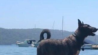 Когда внутри высокое давление... - смотреть видео (0:09)