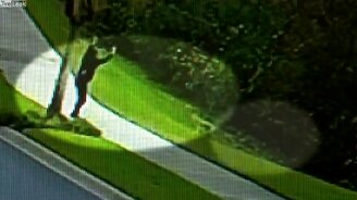 Отправил койота в нокаут - смотреть видео (0:39)