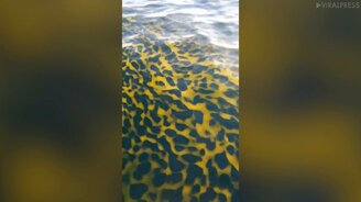 Что с морской водой? - смотреть видео (1:15)