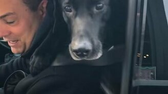 Давай, мы с хозяином съедим! - смотреть видео (0:09)