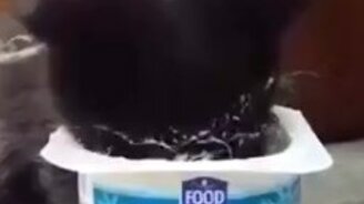 Очень вкусный творожок - смотреть видео (0:31)