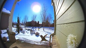 Колибри здоровается на камеру - смотреть видео (0:21)