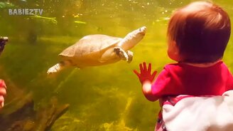 Дети возле аквариума - смотреть видео (10:23)