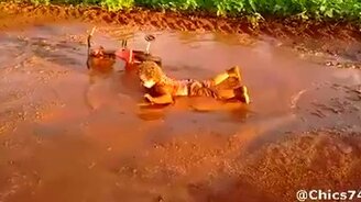 Мечта каждого ребёнка - смотреть видео (0:38)