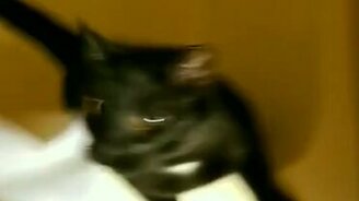 Оставь меня, я моюсь! - смотреть видео (0:08)