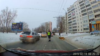 Полицейский помогает собаке перейти дорогу - смотреть видео (0:32)