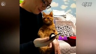 Трогательные кошачьи приколы - смотреть видео (5:56)