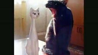 Особенности национального юмора - смотреть видео (3:58)