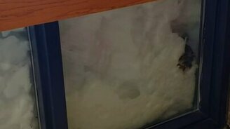 Спасение зайца из сугроба - смотреть видео (2:08)