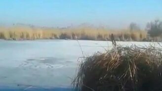 На велике по льду - смотреть видео (0:31)