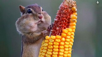 Почему ты всё время уставший - смотреть видео (2:53)