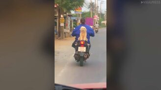 Хозяин прокатит с ветерком - смотреть видео (0:33)