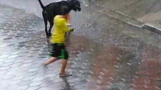 Мальчик с псом наслаждаются дождём - смотреть видео (0:41)