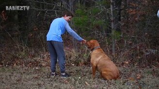 Как дружны собаки и дети! - смотреть видео (10:09)