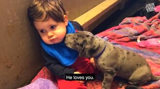 Яркие зимние приколы - смотреть видео (10:13)