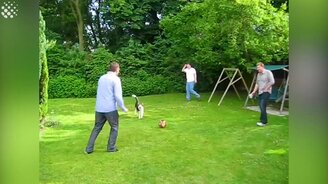 Весёлые футбольные моменты - смотреть видео (4:37)