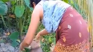 Обед в дикой природе - смотреть видео (1:59)