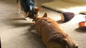 Ленивый способ поиграть - смотреть видео (0:32)