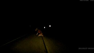 Когда вовремя нажал на тормоз - смотреть видео (0:25)