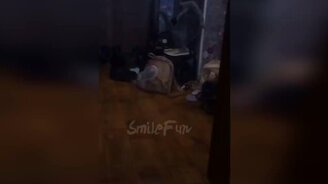 Приколы с кошками, котятами, котами - смотреть видео (10:33)