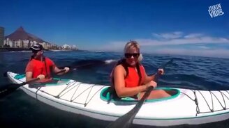 Скажите "сыыыр"! - смотреть видео (10:02)