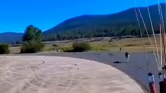 Парапланеризм по-автстралийски - смотреть видео (0:34)