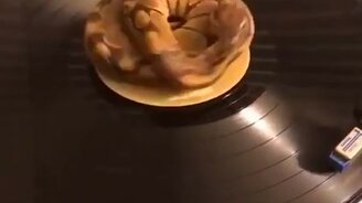 Аттракцион для домашнего питона - смотреть видео (0:09)