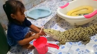 Девочка чистит зубы крокодилу - смотреть видео (0:30)