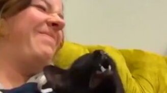 Конкретно так чихнул - смотреть видео (0:22)