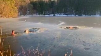 Мужчина спасает собак - смотреть видео (0:59)