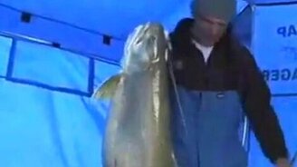 Вот так улов! - смотреть видео (2:39)