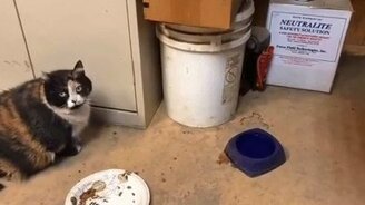 Не, ну ты видел!? - смотреть видео (0:08)