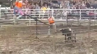 Увлекательные родео-качели - смотреть видео (0:51)