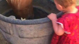 Малышка приветствует лошадей - смотреть видео (0:45)