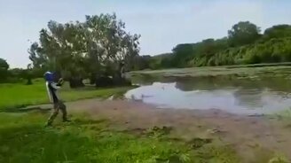 Рыбак против крокодила - смотреть видео (1:49)