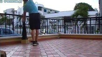 Столб подвёл - смотреть видео (0:24)