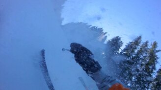 Лыжник чуть не сбил лося - смотреть видео (0:16)