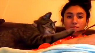 Грубые и дикие кошки - смотреть видео (3:27)