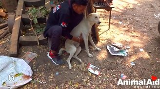 10 трогательных и невероятных спасений зверей - смотреть видео (8:05)