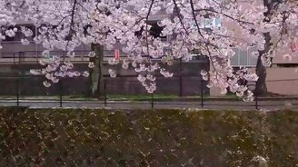 Снег по-японски - смотреть видео (2:14)