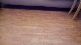 Как мгновенно спрятать кота - смотреть видео (0:09)